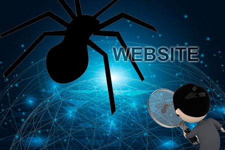 优化网站如何受到蜘蛛垂青